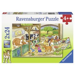 Ravensburger puzle 2*24 gab. Diena fermā cena un informācija | Ravensburger Rotaļlietas, bērnu preces | 220.lv