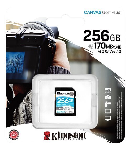 Kingston Canvas Go! Plus 256 GB, SD, Fla цена и информация | Atmiņas kartes mobilajiem telefoniem | 220.lv
