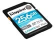 Kingston Canvas Go! Plus 256 GB, SD, Fla cena un informācija | Atmiņas kartes mobilajiem telefoniem | 220.lv