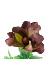 Искусственный цветок магнолии цена и информация | Искусственные цветы | 220.lv