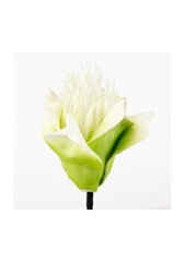 Mākslīgs lateksa zieds cena un informācija | Mākslīgie ziedi | 220.lv