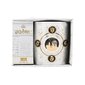 Paladone Harry Potter Constellations cena un informācija | Datorspēļu suvenīri | 220.lv