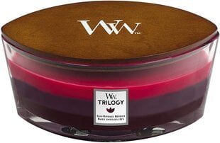 Aromātiskā svece WoodWick Trilogy Sun Ripened Berries, 453,6 g цена и информация | Подсвечники, свечи | 220.lv
