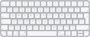 Apple Magic Keyboard - Swedish - MK2A3S/A цена и информация | Клавиатуры | 220.lv