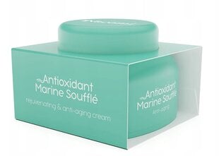 Крем против морщин для лица Nacomi Antioxidant Marine Soufflé, 50 мл цена и информация | Наносите на чистую кожу лица. Подержите около 10-15 минут и смойте водой. | 220.lv