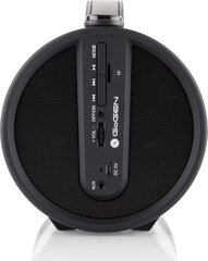 Hyundai GoGEN BPS320STR USB BT цена и информация | Аудиоколонки | 220.lv