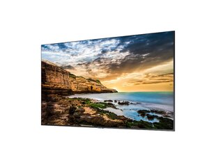 Монитор Videowall Samsung QE55T 3840 x 2160 px 55" LED 50 - 60 Hz цена и информация | Телевизоры | 220.lv