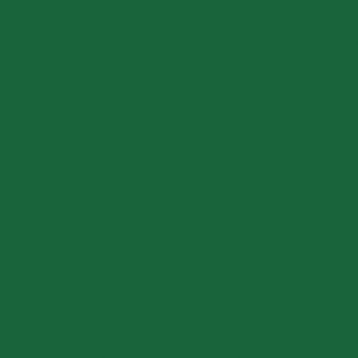 Salvetes Linclass® Airlaid Dark Green 40x40 cm (12 gab.) cena un informācija | Galdauti, salvetes | 220.lv