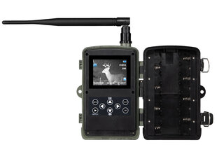 EVOLVEO StrongVision 2 GB, 20 Mpix GSM/MMS medību kamera cena un informācija | Medību piederumi | 220.lv