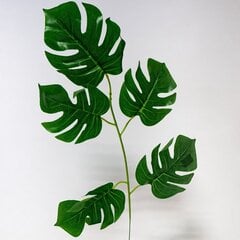 Mākslīgā Monstera lapa, 5 gab. цена и информация | Искусственные цветы | 220.lv