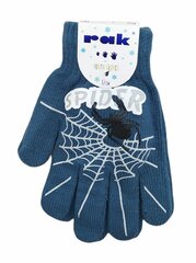 Перчатки для мальчиков Rak R-118 Spider, синие цена и информация | Зимняя одежда для детей | 220.lv