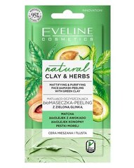 Attīroša sejas maska kombinētai un taukainai ādai Eveline Clay&Herbs, 8 ml cena un informācija | Sejas maskas, acu maskas | 220.lv