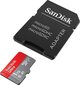 SanDisk Ultra MicroSDXC 1 TB (+ SD adapteris) cena un informācija | Atmiņas kartes fotokamerām | 220.lv