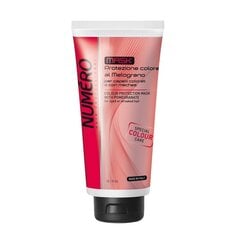 Krāsu aizsargājošs šampūns ar granātābolu Brelil Numero Colour, 300 ml cena un informācija | Matu uzlabošanai | 220.lv
