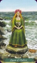 Карты Таро The Green Witch цена и информация | Эзотерика | 220.lv