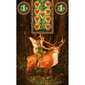 Taro kārtis Fairy Lenormand cena un informācija | Ezotērika | 220.lv