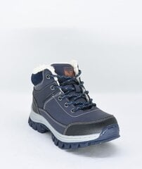 Зимние сапоги для мальчиков, A:B 31994932.36 цена и информация | Детская зимняя обувь | 220.lv