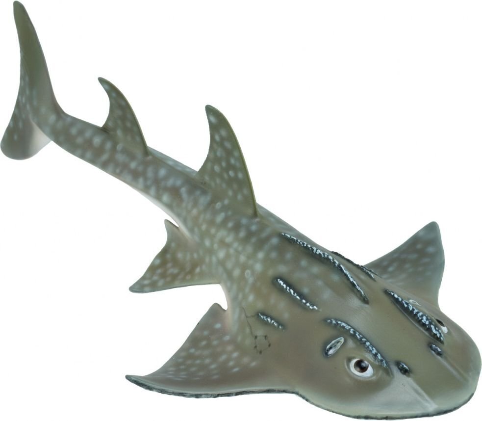 Collecta Haizivs raja (Bowmouth Guitarfish ) L, 88804 цена и информация | Rotaļlietas zēniem | 220.lv