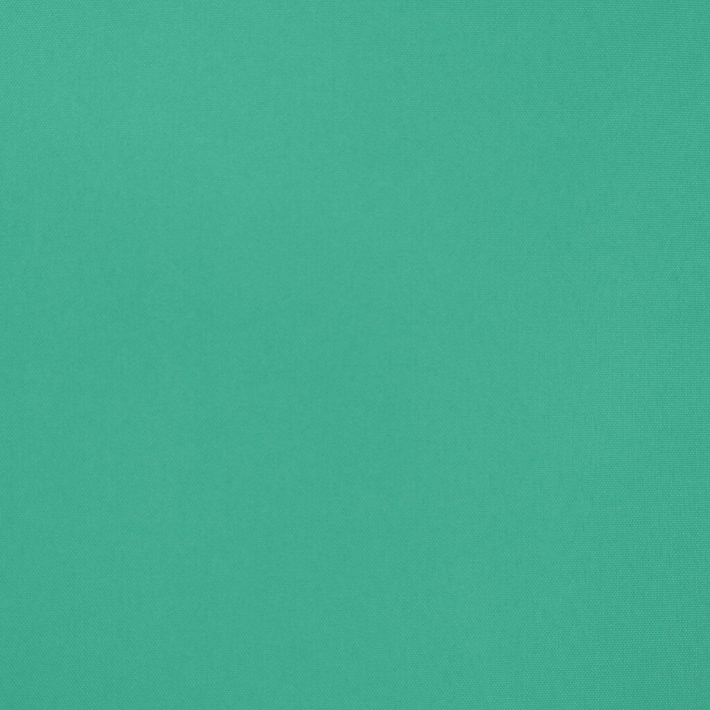 Aizkars Rita, mētras zaļā krāsā, 140 x 250 cm, 1 gab. cena un informācija | Aizkari | 220.lv