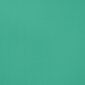 Aizkars Rita, mētras zaļā krāsā, 140 x 250 cm, 1 gab. цена и информация | Aizkari | 220.lv