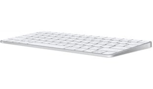 Apple MK2A3RS/A цена и информация | Клавиатуры | 220.lv