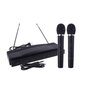 Karaoke sistēma 2x bezvadu mikrofons + stacija цена и информация | Mikrofoni | 220.lv