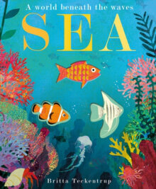 Sea : A World Beneath the Waves цена и информация | Enciklopēdijas, uzziņu literatūra | 220.lv
