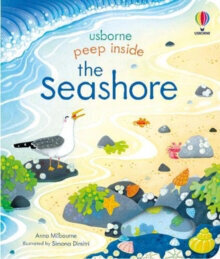 Peep Inside the Seashore цена и информация | Enciklopēdijas, uzziņu literatūra | 220.lv