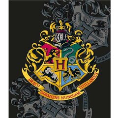 Bērnu pleds Harry Potter, 130x170 cm cena un informācija | Gultas pārklāji, pledi | 220.lv