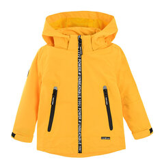 Cool Club куртка для мальчиков, COB2310170 цена и информация | Куртки для мальчиков | 220.lv