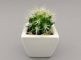 Mākslīgais kaktuss podā cena un informācija | Mākslīgie ziedi | 220.lv