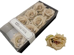 Цветки розы в коробочке цена и информация | цветочные соцветия 1 шт | 220.lv