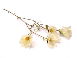Magnolijas zariņš cena un informācija | Mākslīgie ziedi | 220.lv