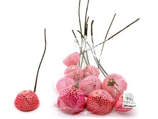 Žāvēti augi rozā krāsā cena un informācija | Materiāli floristikai | 220.lv