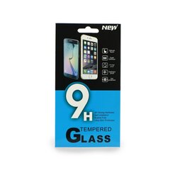 Tempered Glass aizsargstikliņš priekš iPhone 12 / 12 Pro, 0.3 mm цена и информация | Защитные пленки для телефонов | 220.lv