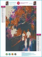 Алмазная картина-мозаика 5D набор (клеика страз) 30x40 см DK41162 цена и информация | Алмазная мозаика | 220.lv
