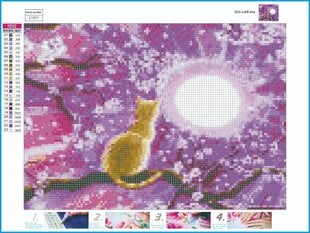 Алмазная картина-мозаика 5D набор (клеика страз) 30x40 см DK41184 цена и информация | Алмазная мозаика | 220.lv