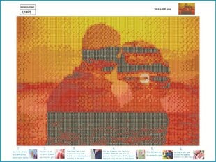 Алмазная картина-мозаика 5D набор (клеика страз) 30x40 см DK41192 цена и информация | Алмазная мозаика | 220.lv