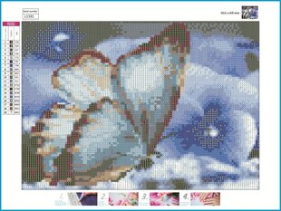 Алмазная картина-мозаика 5D набор (клеика страз) 30x40 см DK41196 цена и информация | Алмазная мозаика | 220.lv