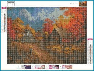 Алмазная картина-мозаика 5D набор (клеика страз) 30x40 см DK41209 цена и информация | Алмазная мозаика | 220.lv
