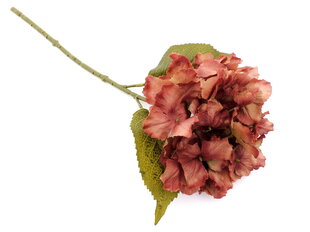Hortenzija ar stublāju, 0,36 m cena un informācija | Mākslīgie ziedi | 220.lv