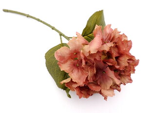 Hortenzija ar stublāju cena un informācija | Mākslīgie ziedi | 220.lv