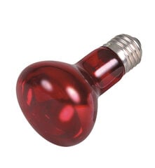 Trixie infrasarkano staru lampa, sarkana 35W cena un informācija | Akvāriji un aprīkojums | 220.lv