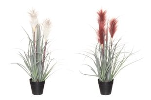4Living искусственное растение Тростник, 55 см цена и информация | Искусственный букет DKD Home Decor, 2 шт | 220.lv