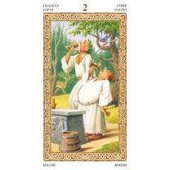 Taro kārtis Tarot Of Druids cena un informācija | Ezotērika | 220.lv