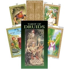 Taro kārtis Tarot Of Druids cena un informācija | Ezotērika | 220.lv