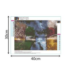 Алмазная картина-мозаика 5D набор (клеика страз) 30x40 см DK41151 цена и информация | Алмазная мозаика | 220.lv