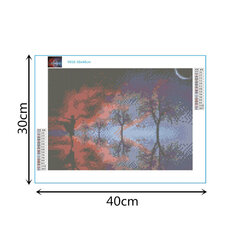 Алмазная картина-мозаика 5D набор (клеика страз) 30x40 см DK41152 цена и информация | Алмазная мозаика | 220.lv
