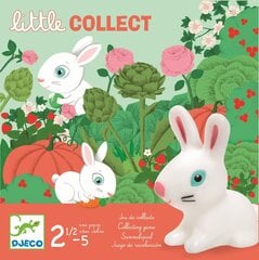Spēle mazajiem - Mazie kolekcionāri, Djeco DJ08558 cena un informācija | Djeco Rotaļlietas, bērnu preces | 220.lv