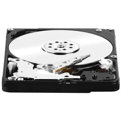 Western Digital WD10JFCX cena un informācija | Iekšējie cietie diski (HDD, SSD, Hybrid) | 220.lv